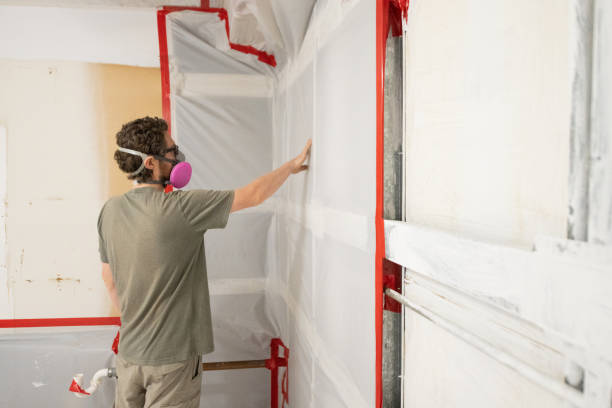  Mansfield, MO Mold Removal Pros